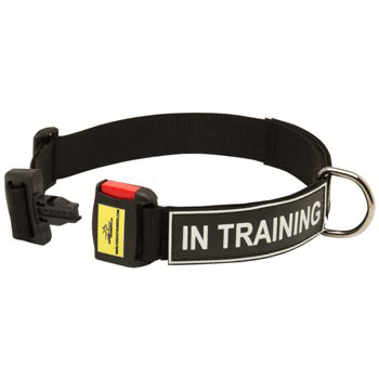 Nylon Dog Collar for Boxer Police Training