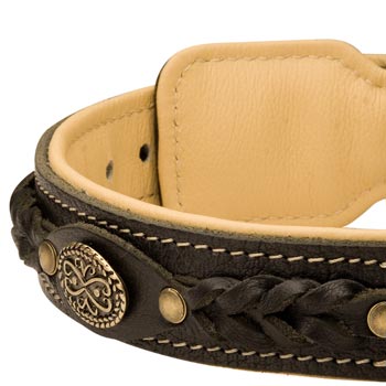  Leather Walking Fashion Collar for Boxer