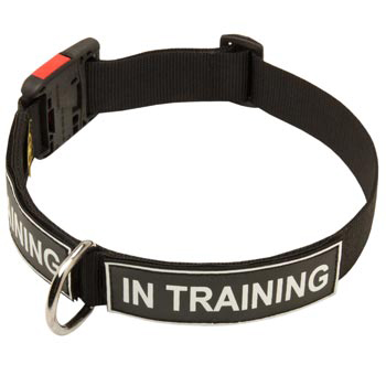 Nylon Boxer Collar With ID Patches