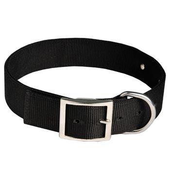 Boxer Training Collar with ID Tag