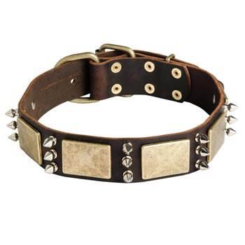 War-Style Leather Dog Collar for Boxer