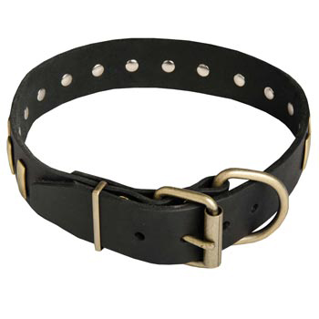 Unique Design Leather Dog Collar with Adjustable Buckle for   Boxer