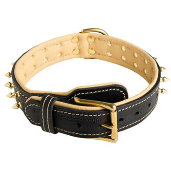 Leather Dog Collar Spiked Adjustable for Boxer Walking