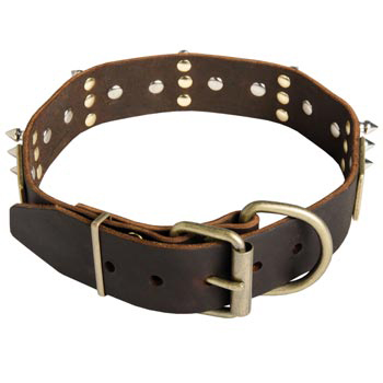 Spiked Leather Boxer Collar