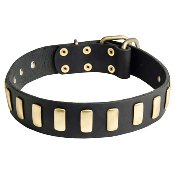 Boxer Collar Leather with Brass Hardware