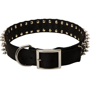 Boxer Wide Dog Nylon Collar Spiked