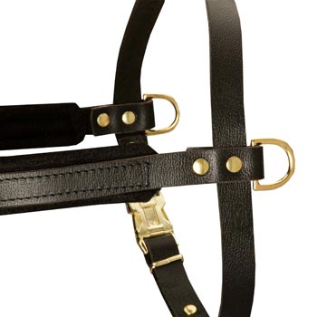 Training Pulling Boxer Harness with Sewn-In Side D-Rings