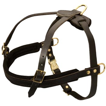 Leather Boxer Harness for Dog Off Leash Training