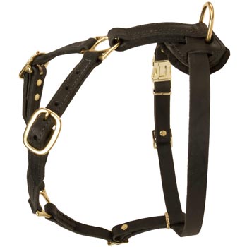 Tracking Leather Dog Harness for Boxer