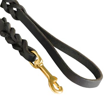 Boxer Leash Brass Snap Hook and Soft Handle
