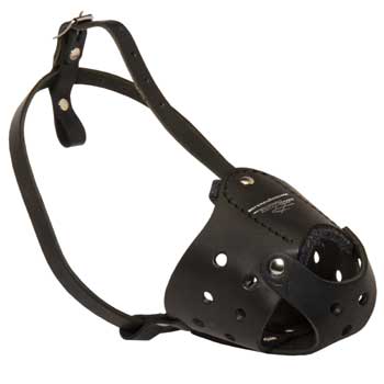 Walking Leather Muzzle for Boxer