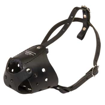 Light in Weight Anti-Barking Boxer Muzzle