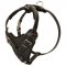 Protection Leather Boxer Harness for Attack / Agitation Dog Training