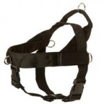 Boxer Harness Nylon with Patches