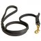 Handcrafted Braided Leather Boxer Leash for Walking and Training