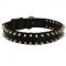 Boxer Nylon Collar Spiked