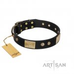 "Antique Gloss" FDT Artisan Black Leather Boxer Collar with Bronze-like Plates and Small Studs
