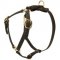 Y-Shaped Leather Boxer Harness for Tracking and Training