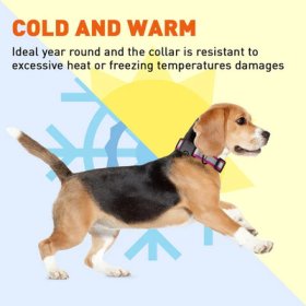 Biothane Reflective Collar With Quick Release Buckle