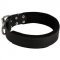 Boxer Durable Padded Leather Collar 40 mm