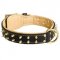 Royal Leather Boxer Collar Spiked Padded with Nappa Leather