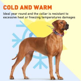 Reflective Biothane Martingale Collar with Quick Release Buckle