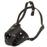 Everyday Leather Boxer Muzzle for Training