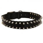 Boxer Nylon Collar Spiked