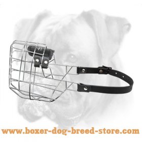 'The Silencer' Wire Cage Boxer Muzzle With One Strap