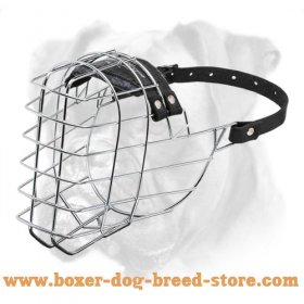 'The Silencer' Wire Cage Boxer Muzzle With One Strap