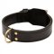 Training 2 Ply Leather Boxer Collar