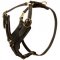 Padded Leather Boxer Harness for Agitation Training