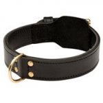 Training 2 Ply Leather Boxer Collar