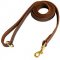 Stitched Leather Boxer Leash for Training and Walking