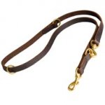 Multifunctional Leather Boxer Leash