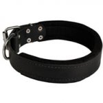 Boxer Durable Padded Leather Collar 40 mm