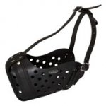 Easy Adjustable Leather Boxer Muzzle for Agitation Training