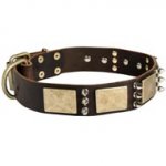 Designer War-Style Leather Boxer Collar with Spikes and Plates