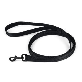 Nylon Traffic Leash