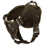 Nylon Boxer Harness for Pulling Tracking Training