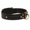 Incredible Design Boxer Braided Leather Collar