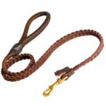 Boxer Leather Braided Dog Leash