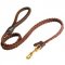 Boxer Leather Braided Dog Leash