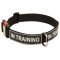 All Weather Nylon Boxer Collar with ID Patches