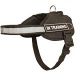 Nylon Boxer Harness with Reflective Strap for Training, Walking, Police Service, SAR and More