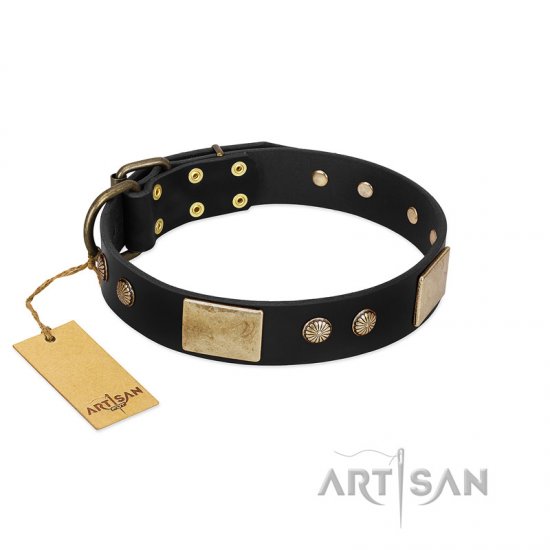 "Antique Gloss" FDT Artisan Black Leather Boxer Collar with Bronze-like Plates and Small Studs