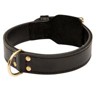Training 2 Ply Leather Boxer Collar