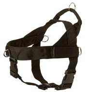 Boxer Harness Nylon with Patches