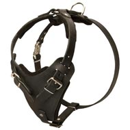 Protection Leather Boxer Harness for Attack / Agitation Dog Training  Protection Leather Boxer Harness for Attack / Agitation Dog Training