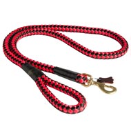 Nylon Cord Boxer Leash for Walking and Training